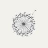 Clandestino Castings